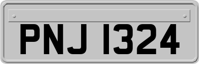 PNJ1324