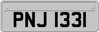 PNJ1331