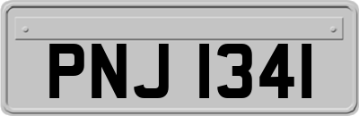 PNJ1341