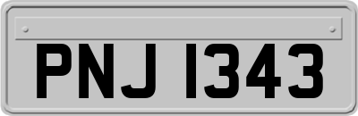 PNJ1343