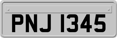 PNJ1345