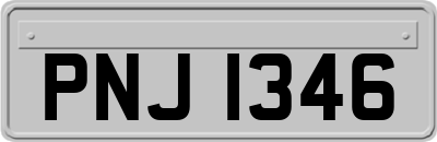 PNJ1346