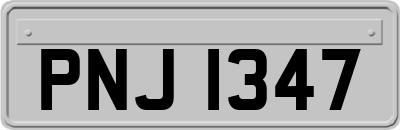 PNJ1347