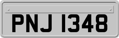 PNJ1348