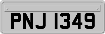 PNJ1349