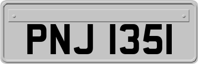 PNJ1351