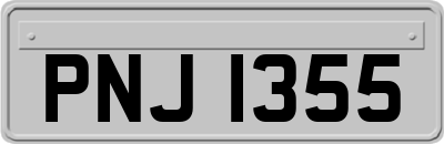 PNJ1355