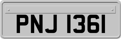 PNJ1361