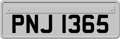 PNJ1365