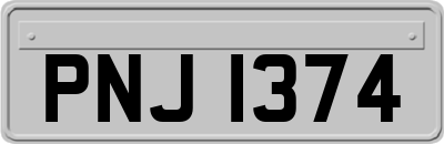 PNJ1374