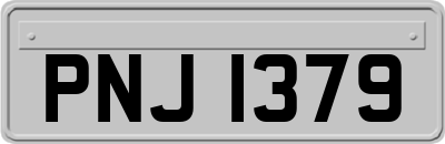 PNJ1379