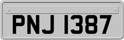 PNJ1387