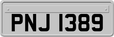 PNJ1389