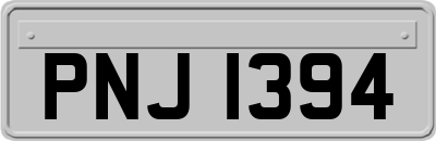 PNJ1394