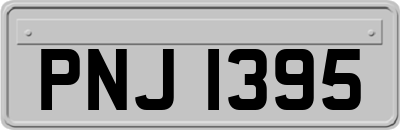 PNJ1395