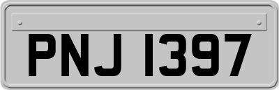 PNJ1397