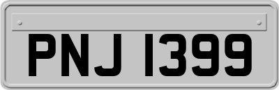 PNJ1399