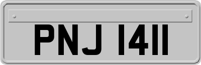 PNJ1411
