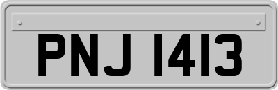 PNJ1413