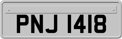 PNJ1418