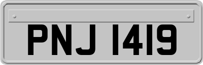 PNJ1419
