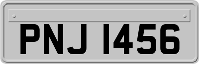 PNJ1456