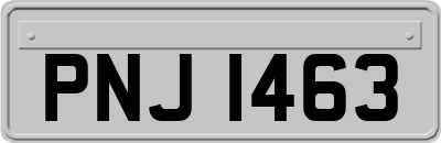 PNJ1463