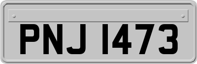 PNJ1473
