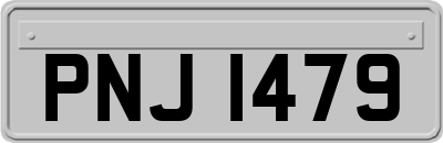 PNJ1479
