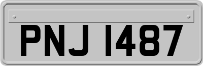 PNJ1487