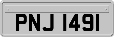 PNJ1491