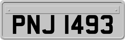 PNJ1493
