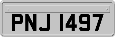 PNJ1497