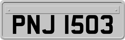 PNJ1503