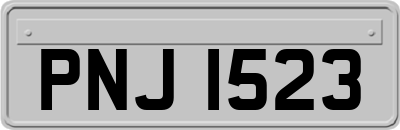 PNJ1523