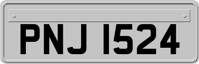 PNJ1524