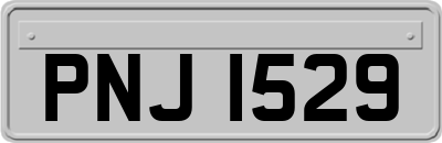 PNJ1529