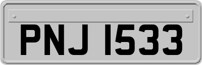 PNJ1533