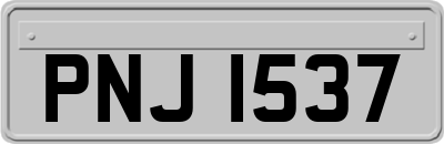 PNJ1537