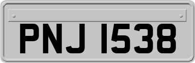 PNJ1538
