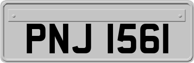 PNJ1561