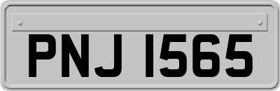 PNJ1565