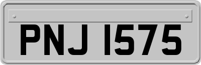 PNJ1575