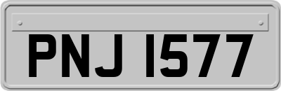 PNJ1577