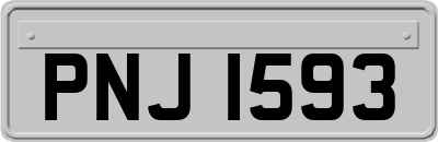 PNJ1593
