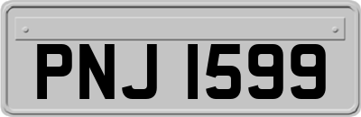 PNJ1599