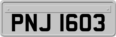 PNJ1603