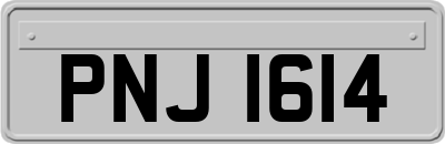 PNJ1614