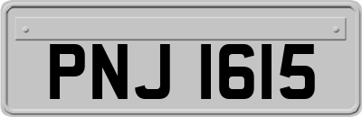PNJ1615
