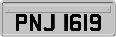 PNJ1619